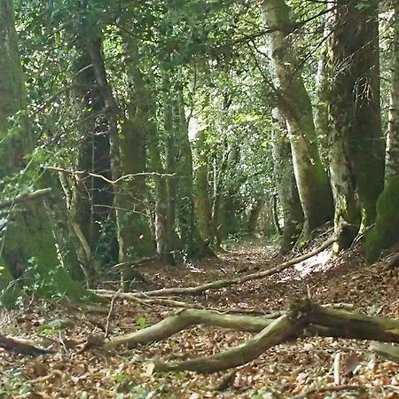 La Petite Grange *
